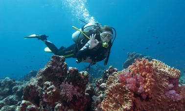 RIB Diving Trips and Courses in Girne, Cyprus