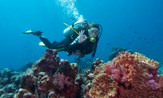 62' Diving Trips and Courses in Girne, Cyprus