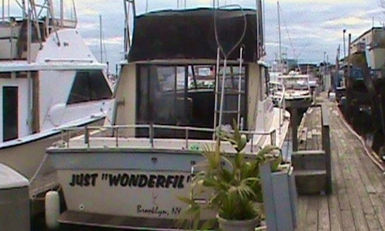 boat rentals keyport nj fishign charters from point lookout getmyboat boat rentals keyport nj fishign charters from point lookout getmyboat