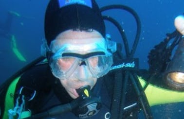 Diving in Ponta Delgada,