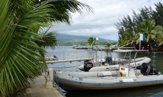 Boat Diving Trips and Humpback Whale Watching Trip in Taravao, French Polynesia