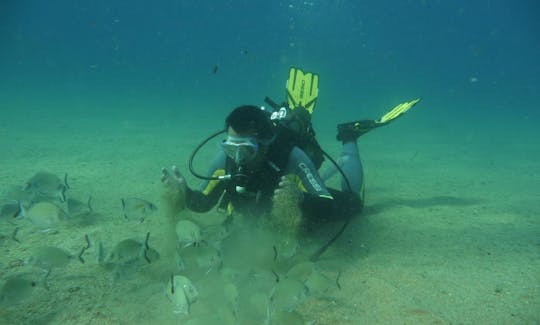 Diving Trips & Courses in Lloret de Mar, Spain