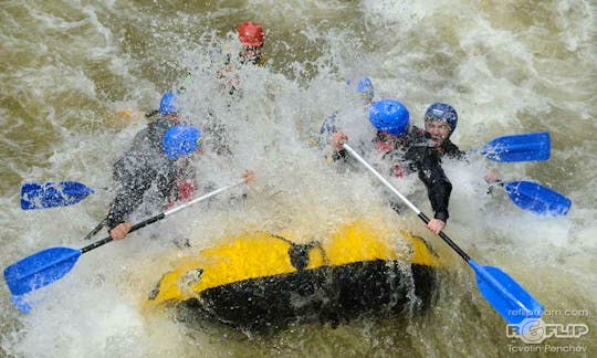 Daily Whitewater Rafting Trips In Kresna