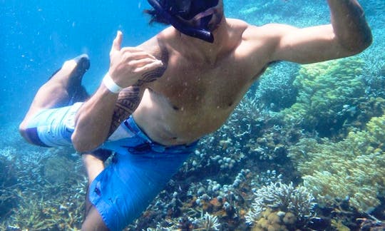 Snorkeling Trips In Nusapenida