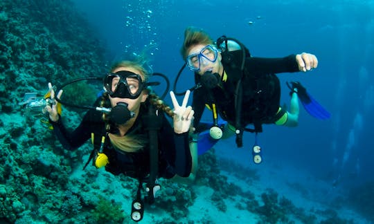 Diving Trips and Courses in Nusapenida