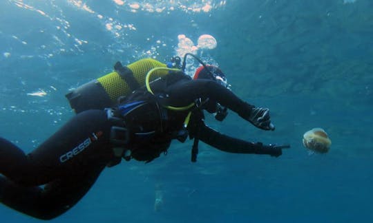 スペイン、パラモスのダイビングツアーとコース