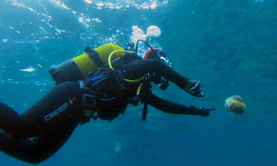 Diving trips & courses  in Palamós, Spain