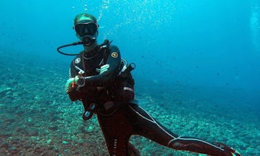 Diving trips & courses  in Palamós, Spain