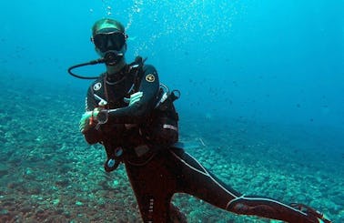 Diving trips & courses  in Palamós
