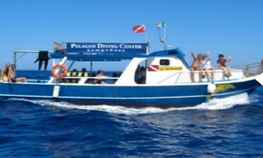 Diving Boat Trips in Lasithi