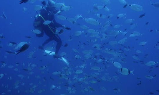 Viagens de mergulho “RUBBER BOAT” em Lasithi