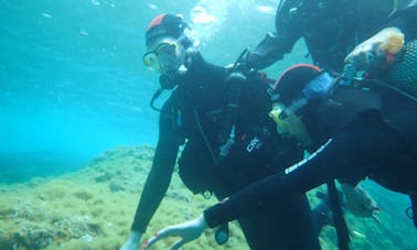 Clases de buceo en Benidorm