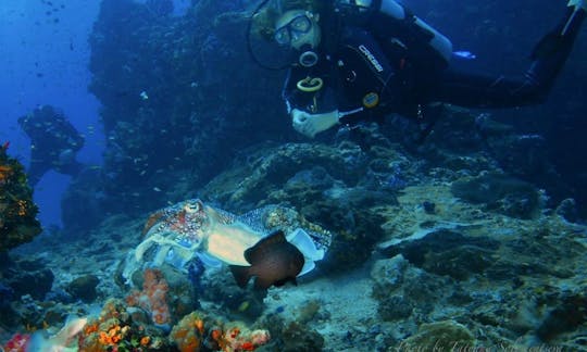 Cours de plongée sous-marine à Phuket