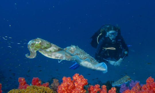 Cours de plongée sous-marine à Phuket