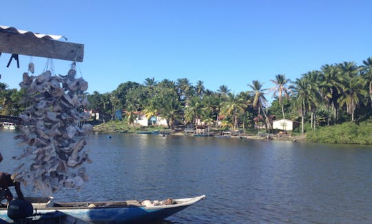 Tour ecológico privado pela Ilha de Tinharé