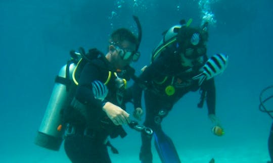 Scuba Diving In Pineleng