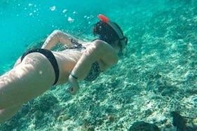 Snorkeling One day Tour to Gili Trawangan