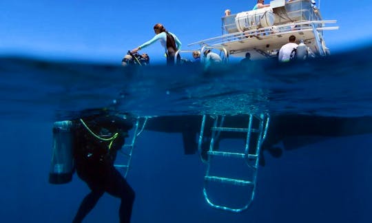 Snorkeling 46ft Newton  Dive/ Passenger Boat In Fajardo, Puerto Rico