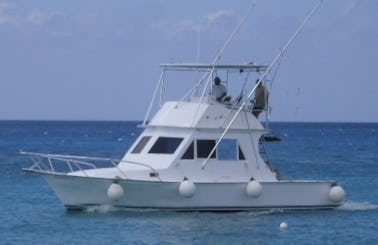 Deep Sea Fishing Charter On 34 feet Yacht In Cozumel, Mexico