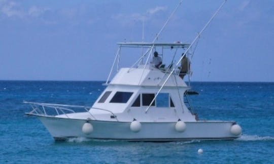 Deep Sea Fishing Charter On 34 feet Yacht In Cozumel, Mexico
