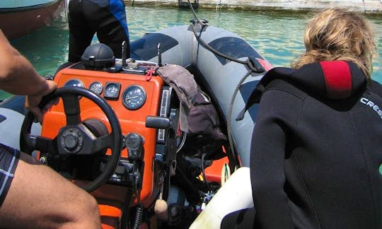 Explore the Magnificent aquatic life of Chania, Greece