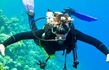 Diving Courses in Sandton