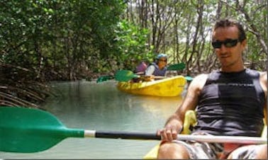Kayak Rental & Tours in Tambon Ko Tao, Thailand