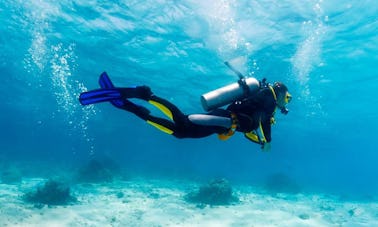 Diving Trips and Courses in Piran