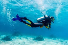 Diving Trips and Courses in Piran