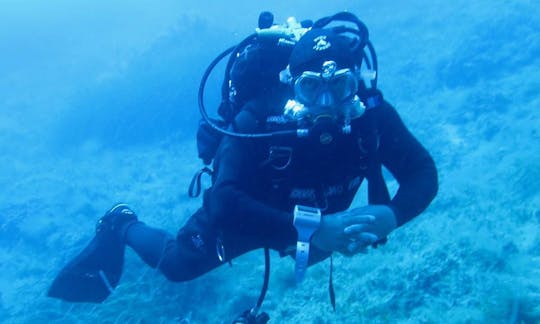 Sal y disfruta del buceo en Monte Argentario, Italia