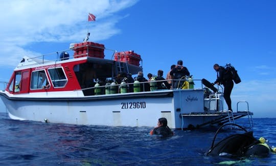 Sal y disfruta del buceo en Monte Argentario, Italia