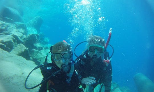 Diving and Courses in Lasithi