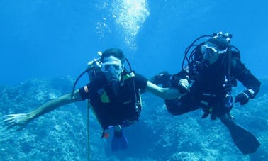 Funnest Diving Activity in Monte Argentario, Italy