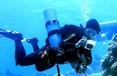 Diving tour and lessons in Kota Kinabalu