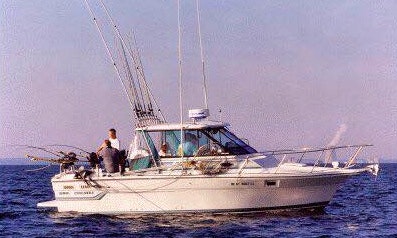 T K Charters Cuddy Cabin Fishing Charters In Oswego New York Getmyboat T K Charters Cuddy Cabin Fishing Charters In Oswego New York Getmyboat