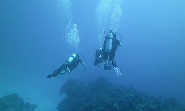 Diving Trips in Port Howe, The Bahamas