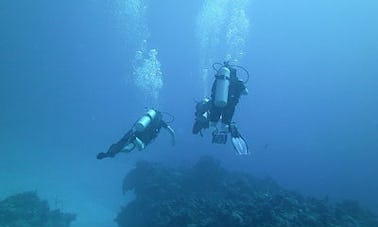 バハマのポートハウでのダイビング旅行