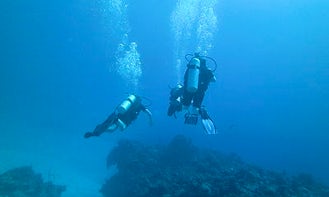 Diving Trips in Port Howe, The Bahamas