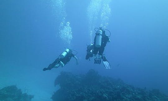 Diving Trips in Port Howe, The Bahamas