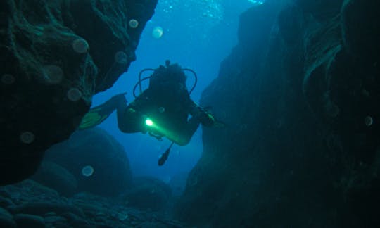 Diving Trips in Little Bay, Montserrat