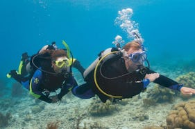 Diving Trips in Favignana