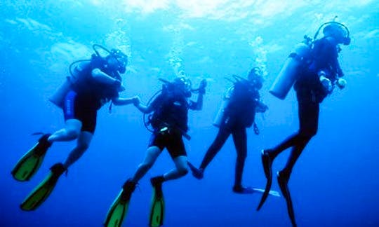 Fun Diving in Muğla, Turkey