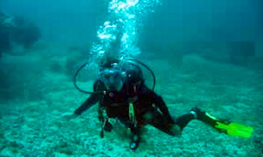 Dive Trips and Scuba Diving Lesson in Crown Point, Tobago