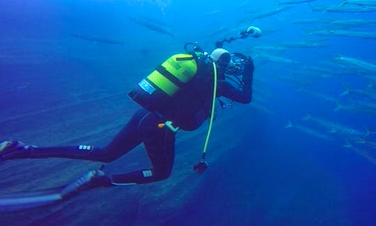 Diving Trips & Courses in Betancuria