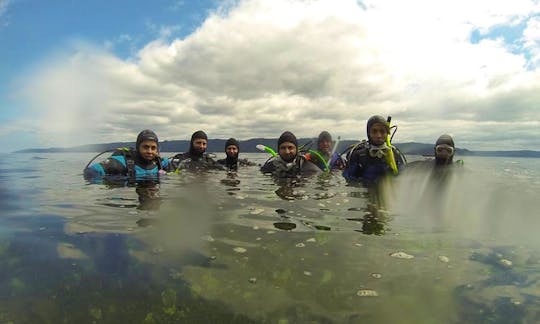 Open Water Scuba Diving In Keizer
