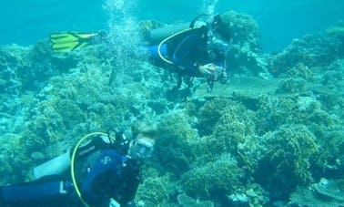 Découvrez la plongée sous-marine à Fuengirola, en Espagne