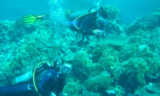 Discover Scuba Diving in Fuengirola, Spain