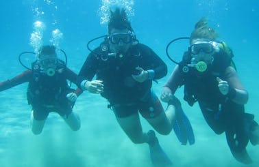 Diving Trips & Courses in Pernera