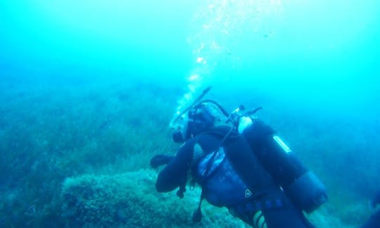 Excursiones de buceo y cursos de pago en Poli Crysochous