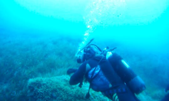Diving Trips & Padi Courses in Poli Crysochous
